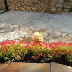 Διαμέρισμα Casa Aranesa