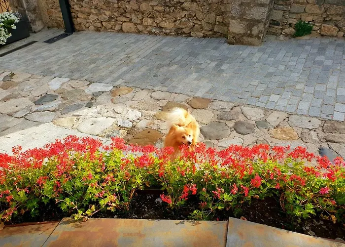 Διαμέρισμα Casa Aranesa