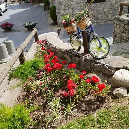 Apartamento Casa Aranesa